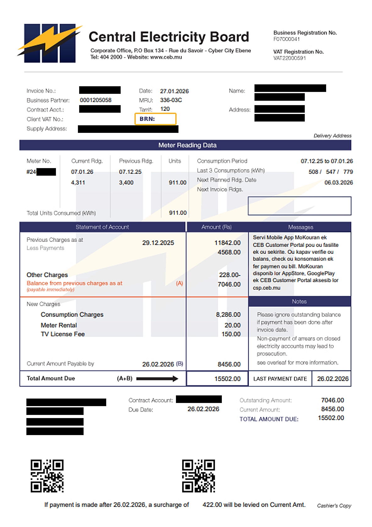 Business Registration Number